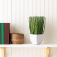 thumbnail image 5 of Pemberly Row 11.5" Contemporary Plastic Artificial Potted Grass in Green, 5 of 7