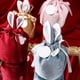 thumbnail image 5 of Matsuzay 6 bolsas de regalo de conejito de Pascua, bolsas de joyería con cordón de terciopelo, bolsas de dulces, recuerdos de boda, rojo, Kits de decoración para fiestas, 5 of 6