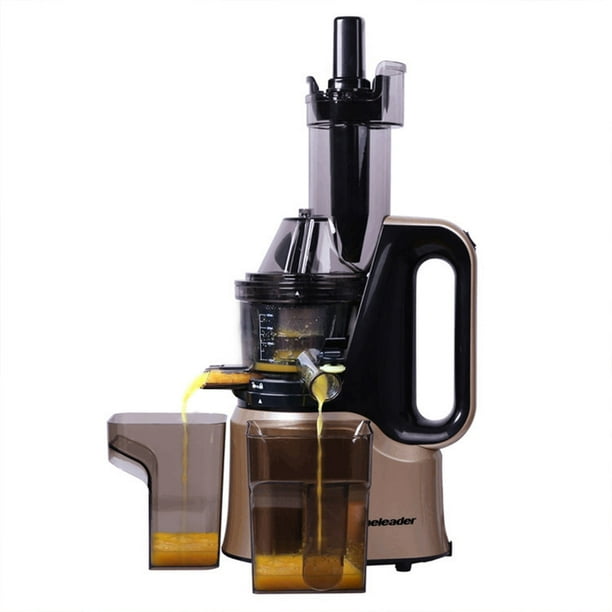 Homeleader Juicer, Slow Masticating Citrus Juicer with 2 inch Big Mouth