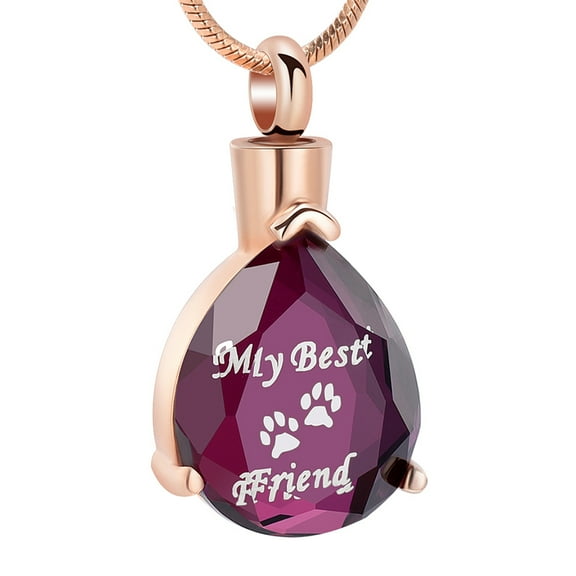 My Best Friend Crystal Teardrop Cremation Jewelry for Ashes Urn Necklace Lockets for Human Ashes Pendent for Ashes and Chain Pet Ashes Holder