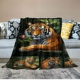 thumbnail image 2 of HENGT  Tiger Blanket, Tiger Decor, Tiger Gifts for Women Men, Animal Throw Blanket, Tiger Gifts for Kids Adults Boys Girls, Tiger Gifts for Tiger Lovers, Soft Cozy for Couch Throw Blanket, 2 of 6