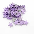 thumbnail image 4 of Abbracc 50 Pcs Rivets Étoiles en Cuir 15mm pour Sac Chaussures Bracelet, 4 of 9