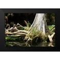 thumbnail image 2 of Hausenflock, Alan 24x17 Black Modern Framed Museum Art Print Titled - Cypress II, 2 of 5