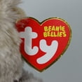 thumbnail image 4 of Ty Beanie Bellies-TY41036 Stubby Monkey Soft Toy, 15 cm, TY41036, Brown, Beige, Small, 4 of 6