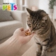 thumbnail image 4 of Premios para Gatos YUMMY CRUNCH PREMIOS 50gr, 4 of 5