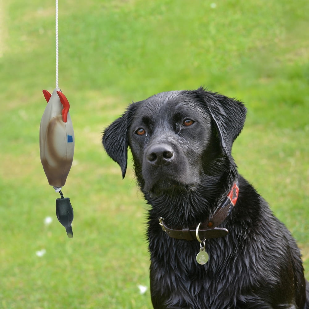 Pet Fake Duck Training Interactive Toys Pet Products Supplies For Medium Large Dogs (33 x 7 x 6cm)