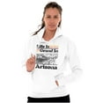thumbnail image 3 of Arizona AZ Vintage Grand Canyon State Unisex Plus Fleece Graphic Hoodie Brisco Brands 4X, 3 of 5