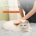 thumbnail image 3 of Meowvo All-In-Ones Grooming Mist Glove for Pets, Grooming Mist Glove for Pets, Meowvo Cat Brush, Spray Cat Petting Gloves, Pet Hair Removal Mitten, Cat Grooming Mitten (Blue), 3 of 8
