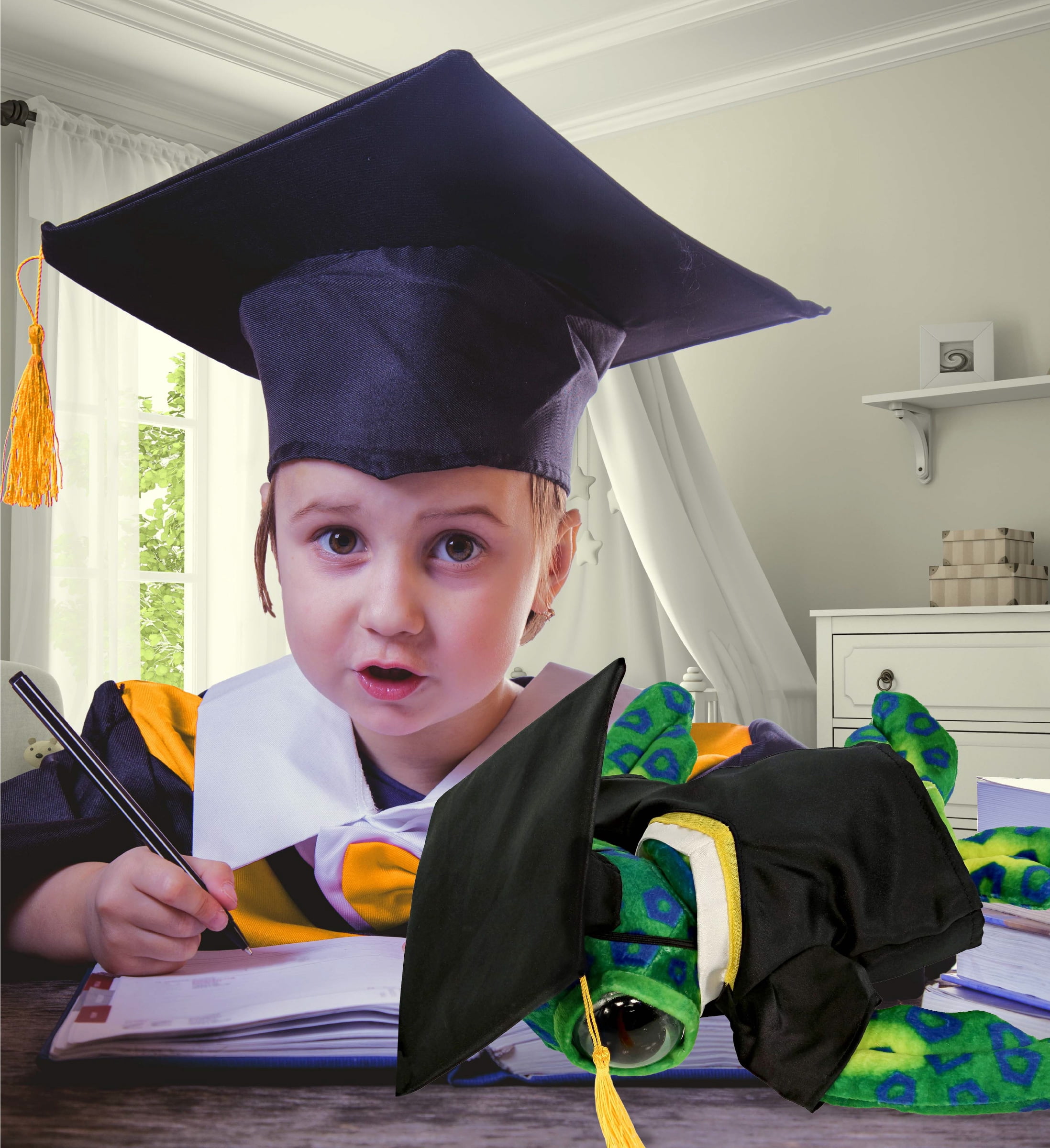 DolliBu Green Sea Turtle Graduation Plush Toy - Super Soft Turtle Plush Graduation Stuffed Animal Dress Up with Graduation Gown and Cap with Tassel Outfit - Congratulatory Graduation Gift - 10 Inches