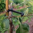 thumbnail image 4 of 20 Pieces Of Fruit Trees, Citrus Trees, Bent Branches, Branching Devices, Apple Tree Opening Angle Cherry Support, Fixed Branch Extraction Devices, 4 of 4