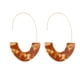 thumbnail image 1 of Qarigey 1 par de aretes de estilo simple con estampado de leopardo en forma de U para niñas adolescentes Ropa, zapatos y accesorios Miscelánea Marrón Qarigey AP010170-04, 1 of 6