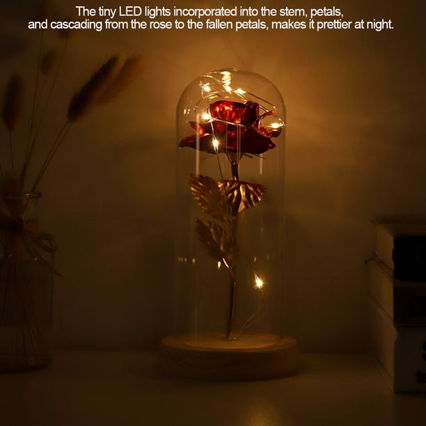 Flor de rosa con luz LED, flor de rosa preservada Regalo de flor de rosa LED Flor de rosa preservada meticulosamente diseñada
