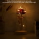 thumbnail image 2 of Regalo de flor de rosa, flor de rosa preservada Flor de rosa LED con luz LED elegante y moderna Jadeshay A, 2 of 8