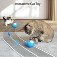 thumbnail image 4 of Pelota de juguete para gatos Dos modos Cantos de pájaros realistas Fácil de usar Carga conveniente Seguro y duradero para bola rodante activa para gatos Jolly Ball y juguete para gatos dirigido a dueñ, 4 of 8
