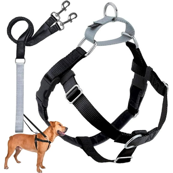 2 Hounds Design Freedom No-Pull Dog Harness Training Package, X-Large, Black