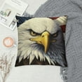 thumbnail image 2 of JEUXUS  Bald Eagle Print Throw Pillow Cover Square Soft Cushion Cover Throw Pillow Case for Home Decor Living Room Bed Couch Car, 2 of 5