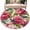 Crimson Green Beige, variant on Large Area Rugs for Living Room Bedroom, Pink Floral 6'x9' Rug Washable Carpet Runner Indoor Outdoor, Watercolor Flowers Leaves Plants Watercolor Non Slip Floor Mats Rug for Kitchen, Playroom