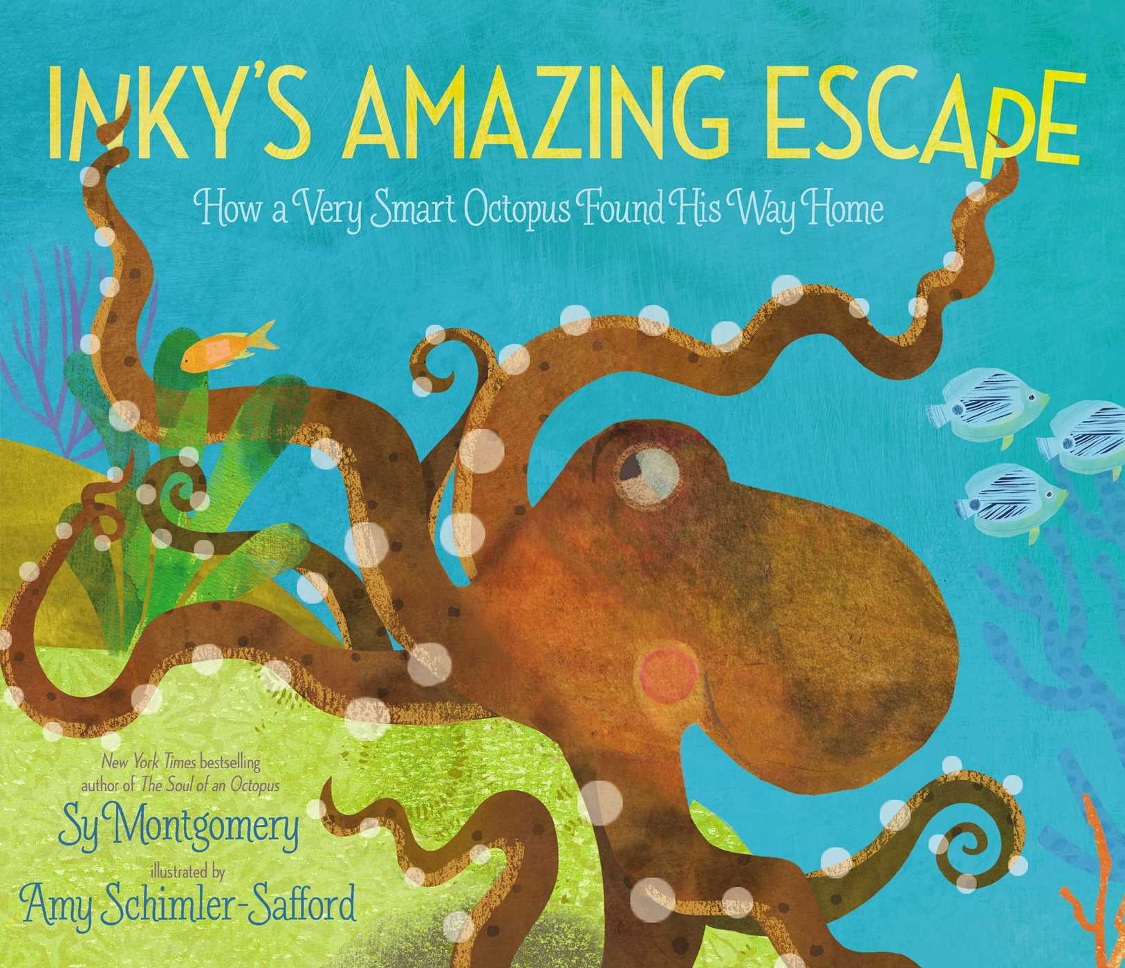 Inky S Amazing Escape How A Very Smart Octopus Found His Way Home Hardcover Walmart Com Walmart Com