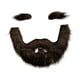 thumbnail image 2 of Conjunto de barba y cejas postizas, vello facial postizo, accesorio de disfraz, decoración para Marrón, 2 of 7