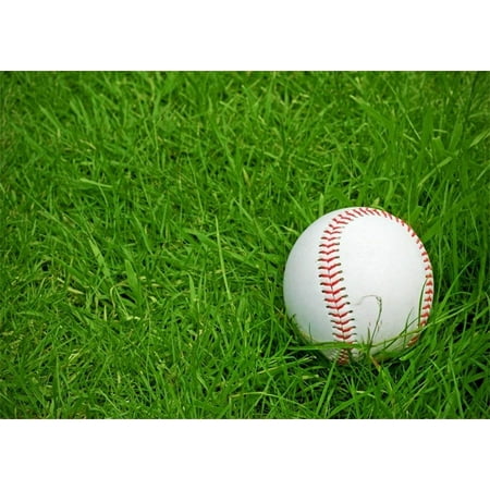 Image of ABPHOTO Polyester 7x5ft Baseball Backdrop Spring Outdoor Ball on Green Grassland Nature Backdrops for Photography Sports Theme Photo Background Kids Adults Portraits Studio Props