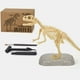 thumbnail image 1 of Rompecabezas de dinosaurio con pequeñas herramientas de plástico (martillo, cincel y cepillo) para abrir los terrones y encontrar gossiles, imitando procesos arqueológicos., 1 of 3