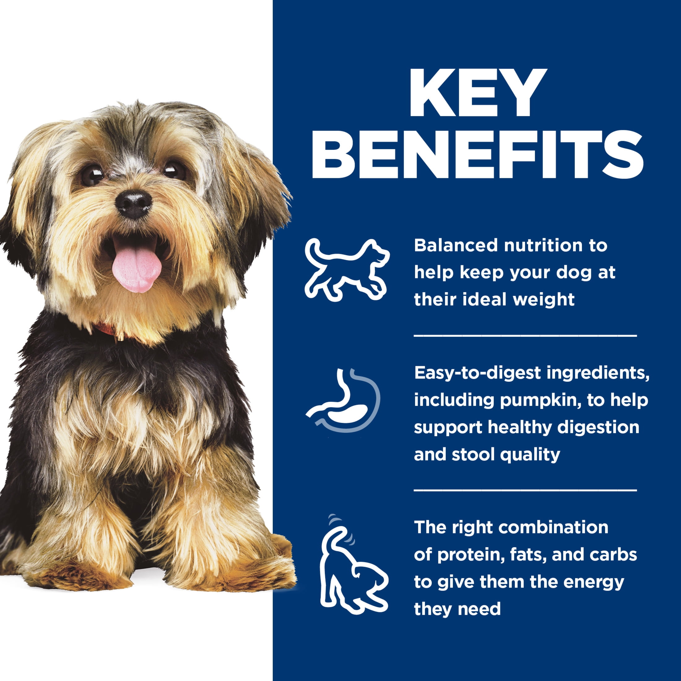 Hill's Science Diet Adult Small Paws Canned Dog Food, Chicken & Barley Entrée, 5.8 oz, 24 Pack wet dog food