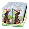 thumbnail image 5 of Regent Products 46003N 3 oz Choco Bunny Solid Boxed Carrot Patch Pete Milk Chocolate Flavored Easter Candy - Pack of 24, 5 of 5