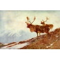 thumbnail image 2 of Rungius, Carl 24x17 White Modern Wood Framed Museum Art Print Titled - Caribou, 2 of 4