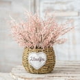 thumbnail image 6 of EGYMEN Hand Woven Straw Planter, Decorative Flower Basket, Succulent Pot for Home and Hotel Rooms, 6 of 6