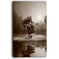 thumbnail image 2 of Alone Tree on Island in Sepia, 2 of 3