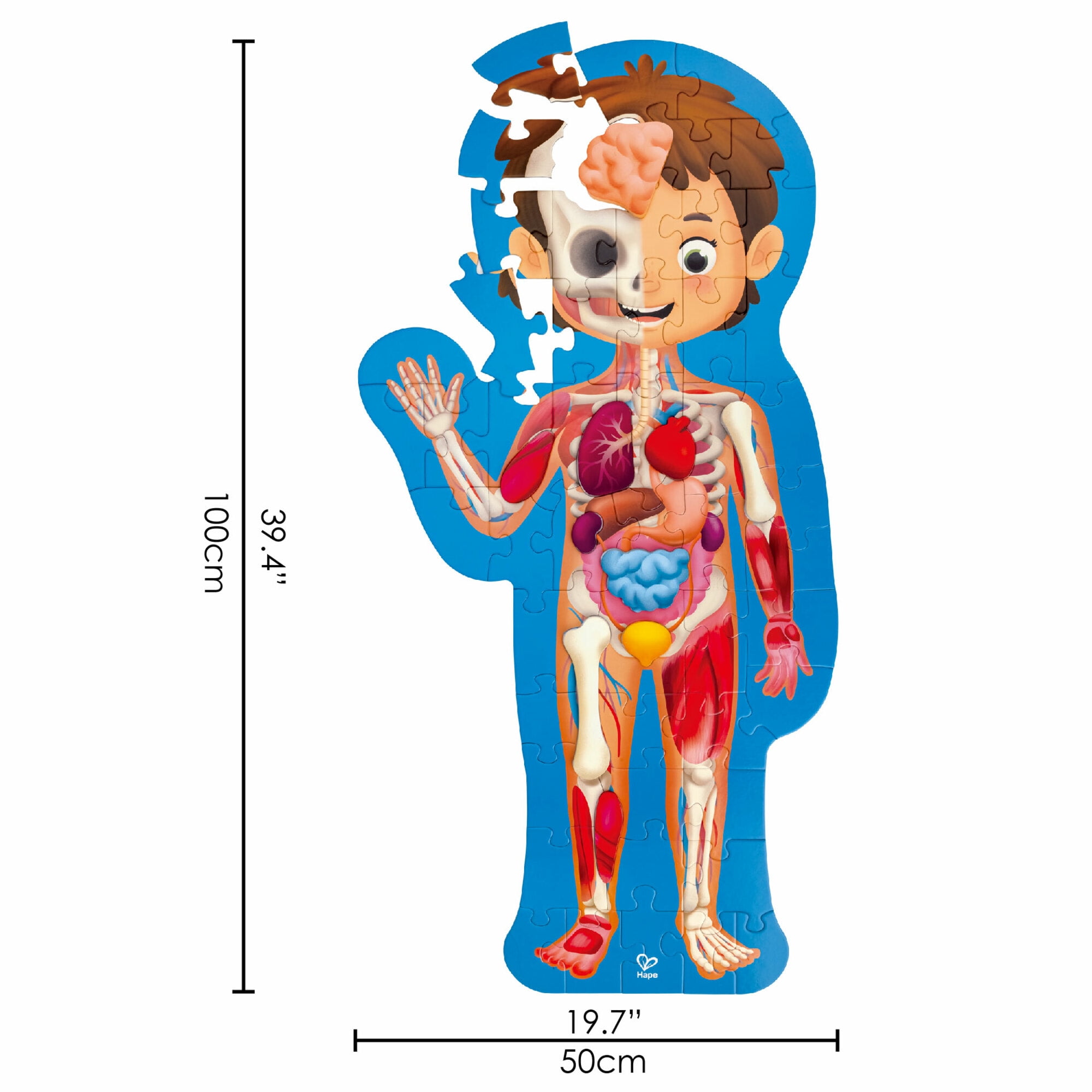 Hape Human Body Jigsaw Puzzle, 60 Oversized Pieces