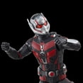 thumbnail image 6 of Hasbro Marvel Legends Series Ant-Man Action Figures (6”), 6 of 6