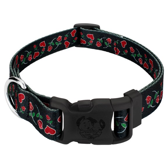 Country Brook Petz® Deluxe Roses for My Valentine Dog Collar Limited Edition - Made in The USA., Extra Small