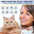 thumbnail image 6 of Oimmal Cat Calming Pheromone Diffuser,2 in 1 Plug-in Cat Calming Diffuser Kit for Cat Anxiety Relief, Urine Spraying & Scratching, 6 of 11