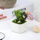 thumbnail image 5 of Planta artificial en maceta para decoración del hogar y la oficina Cactus de cerámica de mono negro, 5 of 8