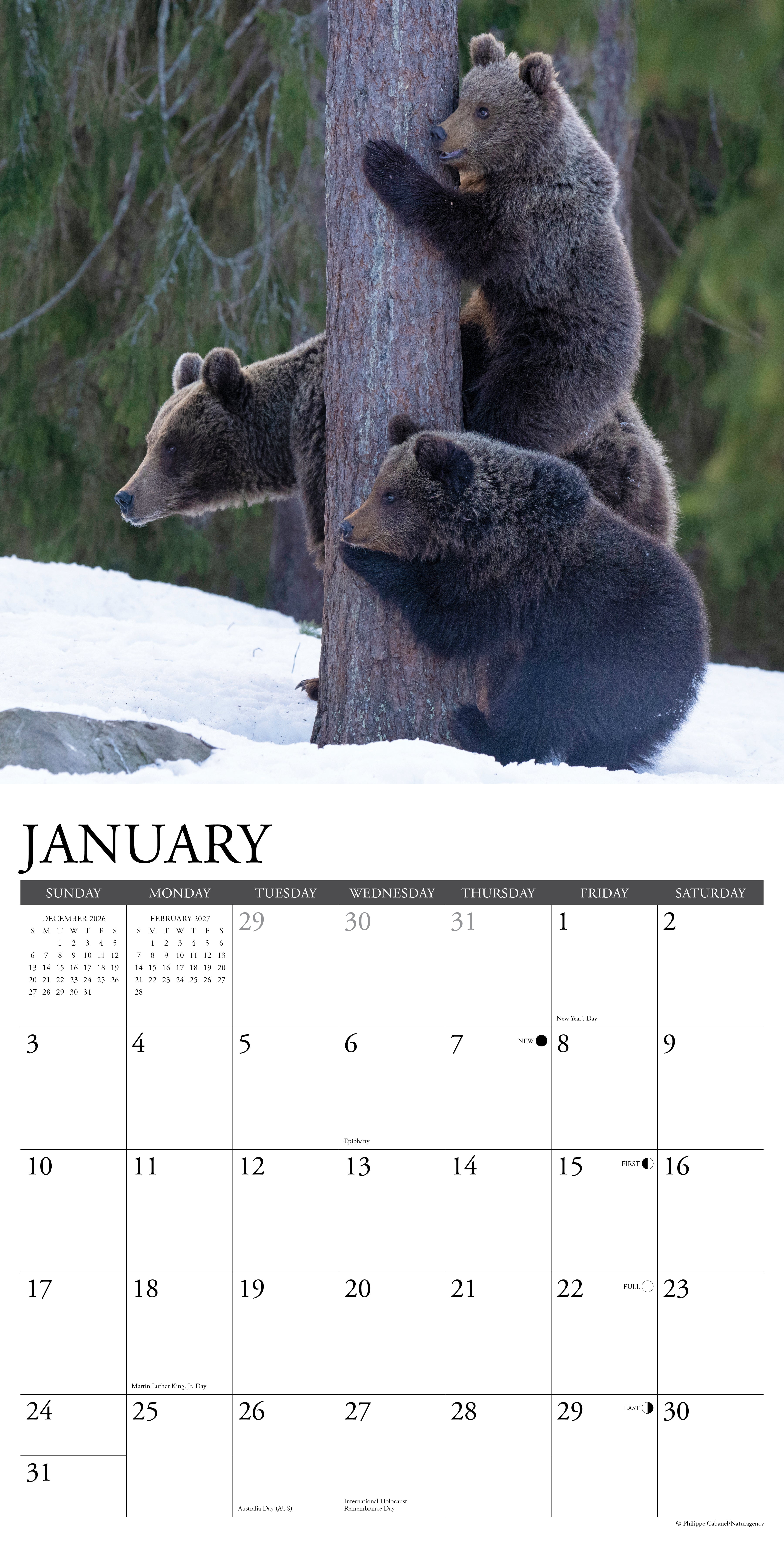 Willow Creek Press, Grizzlies 2027 Wall Calendar