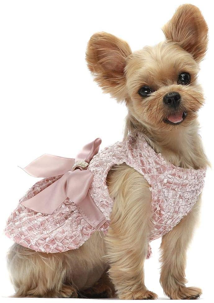 Floralby Multi Layers Puppy Dogs Dress Tiered Skirt Summer Pet Clothes Apparel for Small Dogs
