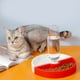 thumbnail image 5 of Juego de platos de agua para gatos, cuenco de comida para gatos, cuencos de alimentación para mascotas, plato para gatos con botella de agua, rendimiento probado, 5 of 8
