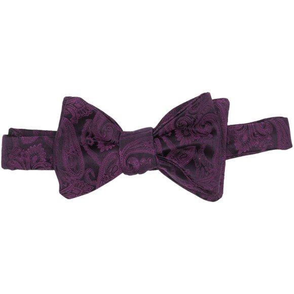 Dion Nœud Papillon Paisley en Soie Violet Brillant pour Homme Egg Plant - Taille Unique