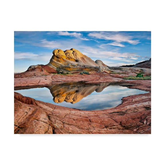 Trademark Fine Art 'Arizona Reflection II' Canvas Art by David Drost