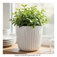 thumbnail image 4 of Maceta Home Trends 25 x 25 cm Rayas Blanco, 4 of 4