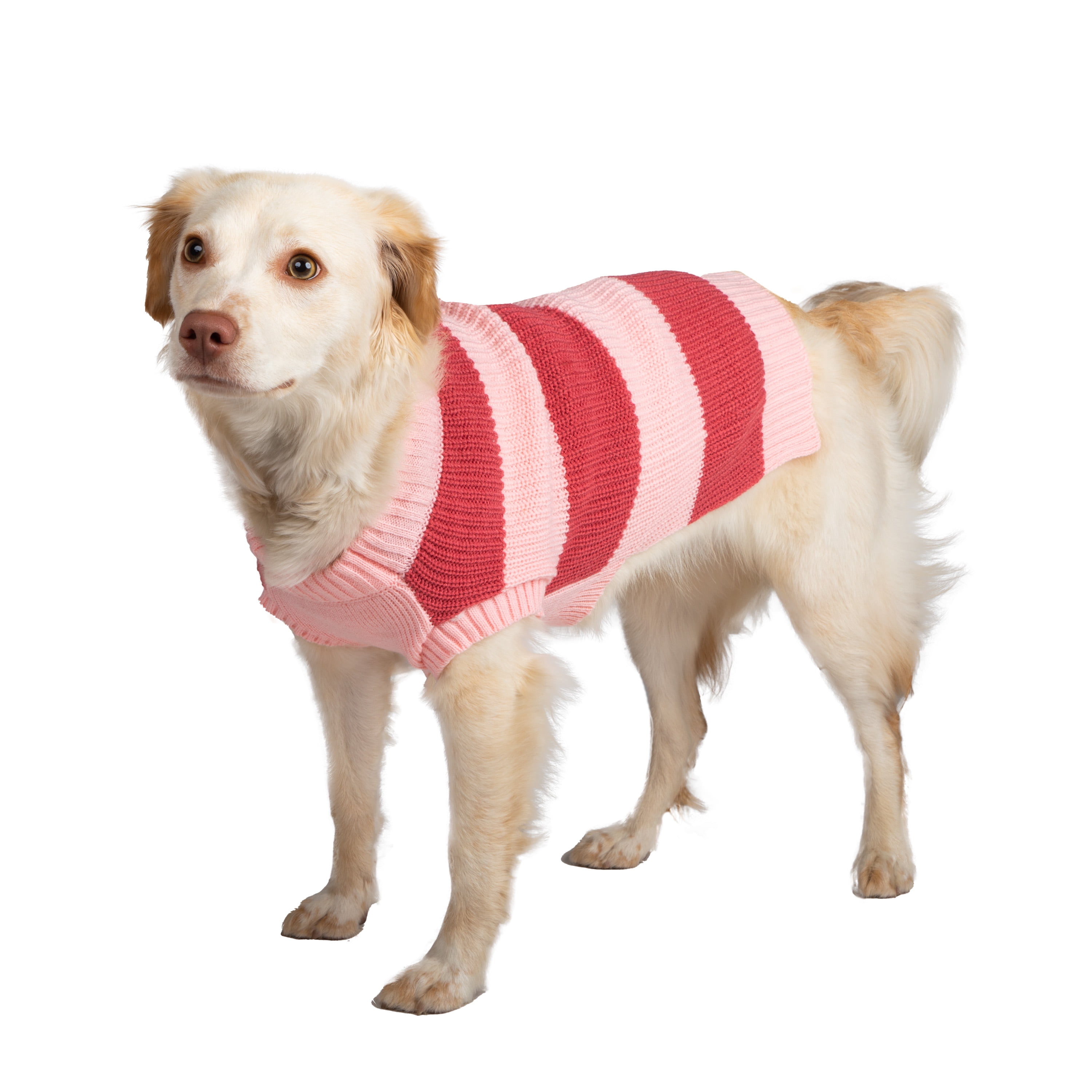 Gap Pet, Dog Clothes, Pink Striped Henley Pet Sweater