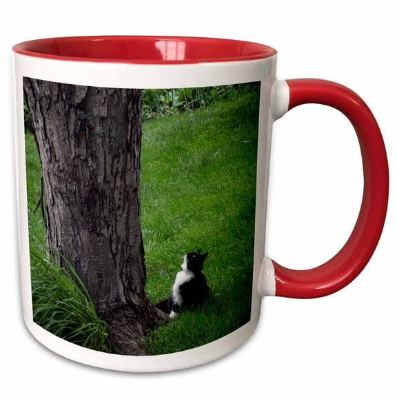 3drose, Tuxedo Cat Looking up a Tree, 15oz Two-tone Red Mug