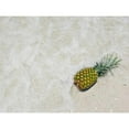 thumbnail image 3 of Mead, Adam 14x12 Black Modern Framed Museum Art Print Titled - South Florida Pineapple V, 3 of 5