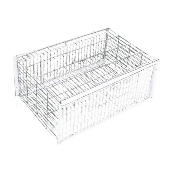 Tachiuwa Pigeon Cage Easy Assembly Pigeon Coop for Orchards Garages Meat Pigeons S