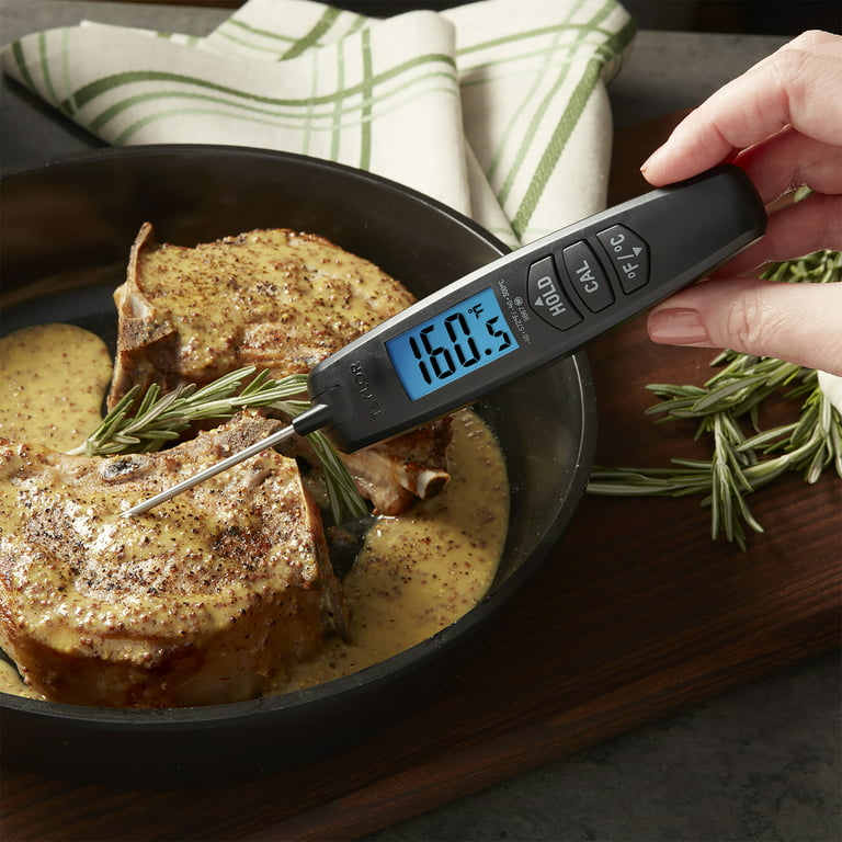 Taylor Precision Leave-in Meat Thermometer 5939N Meat Thermometer Review -  Consumer Reports