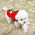 thumbnail image 4 of Ropa navideña para perros, disfraz de Papá Noel, lindo disfraz de reno para perros, disfraz de gato, abrigo cálido de invierno para mascotas, 4 of 5