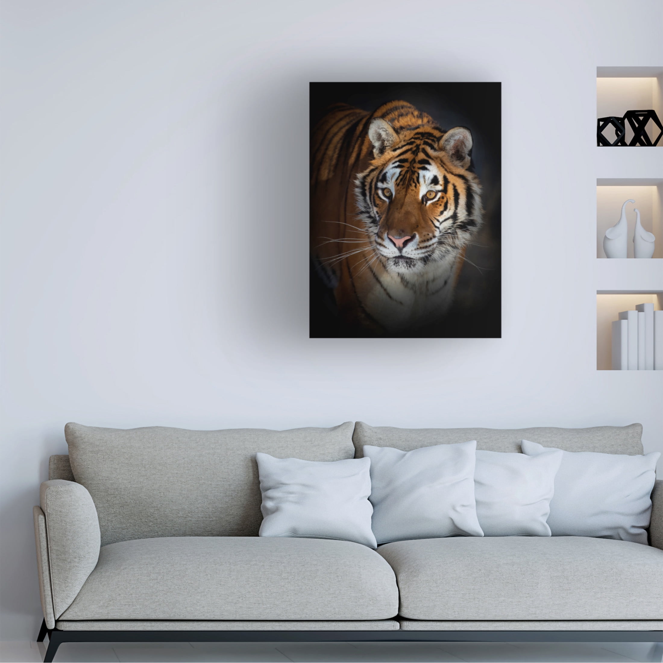 Canvas Wall Art - Jim Cumming 'Portrait Of A Siberian Tiger' Wall Art for Living Room, Bedroom, or Office Décor by Trademark Fine Art - 24 x 32 Inches