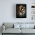 thumbnail image 2 of Canvas Wall Art - Jim Cumming 'Portrait Of A Siberian Tiger' Wall Art for Living Room, Bedroom, or Office Décor by Trademark Fine Art - 14 x 19 Inches, 2 of 4