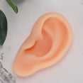 thumbnail image 4 of Modelo de oreja, modelo de oreja simulada profesional, herramienta de enseñanza de oreja, modelo de acupuntura de oreja, grado profesional, 4 of 5